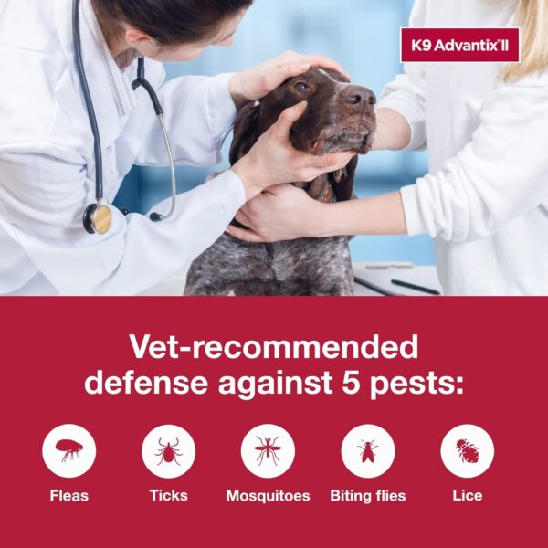 K9 Advantix II XL Dog Vet-Recommended Flea, Tick & Mosquito Treatment & Prevention | Dogs Over 55 lbs. | 1-Mo Supply - Image 2