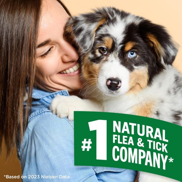 Vet's Best Flea and Tick Home Spray - Dog Flea and Tick Treatment for Home - Plant-Based Formula - Certified Natural Oils,Green - 32 oz - Image 3